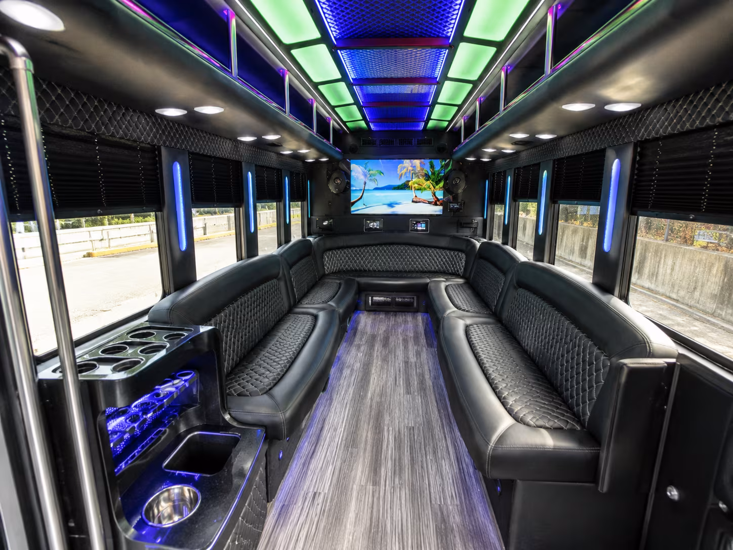 pleasanton 18 passenger party bus inside