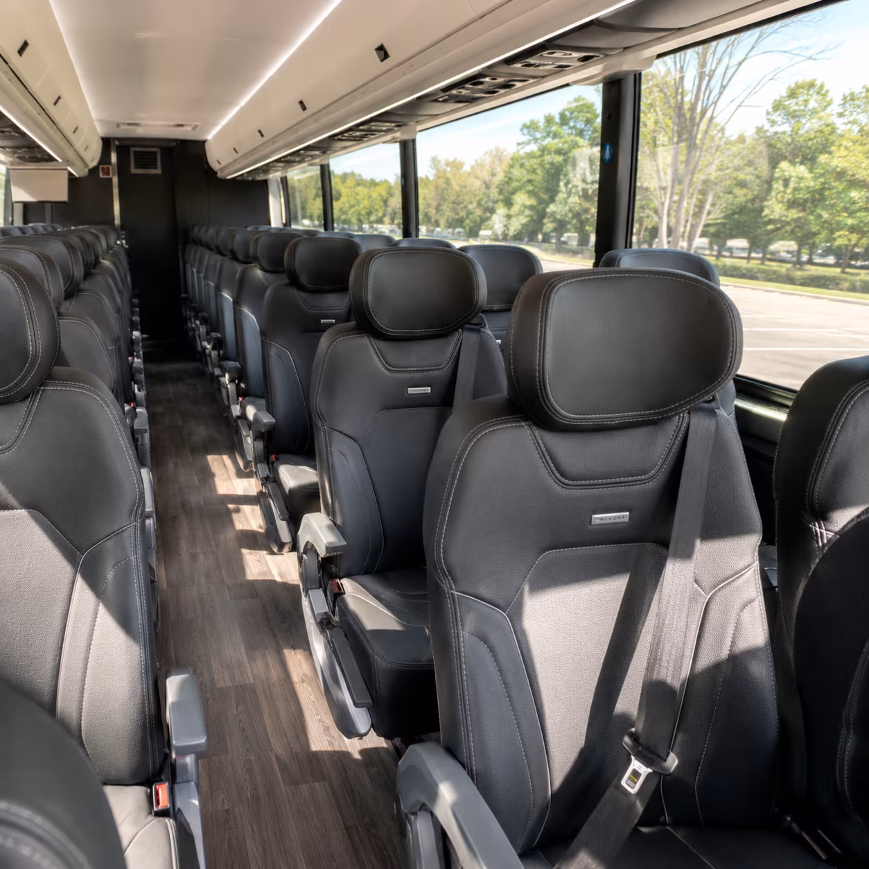 pleasanton long distance transportation onboard seating