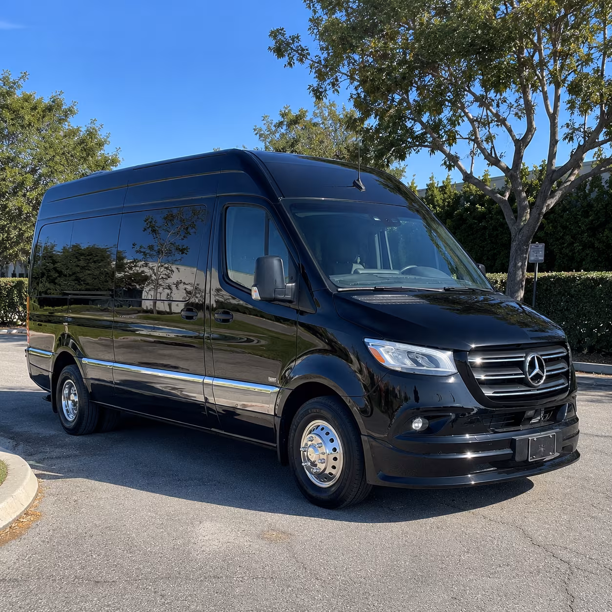 pleasanton prom transportation onboard seating